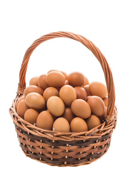 eggs