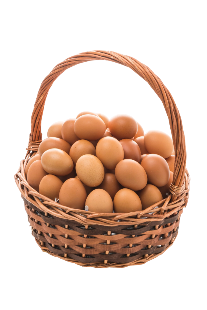 eggs